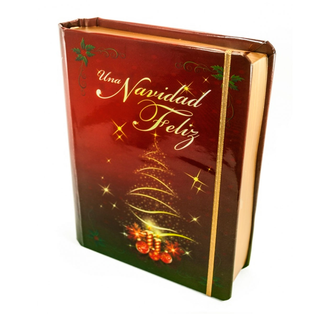 Regalos/Libro-Regalo-Navidad